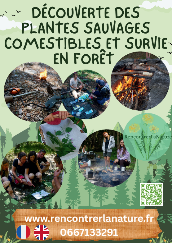 Mix Plantes sauvages comestibles + Survie journée