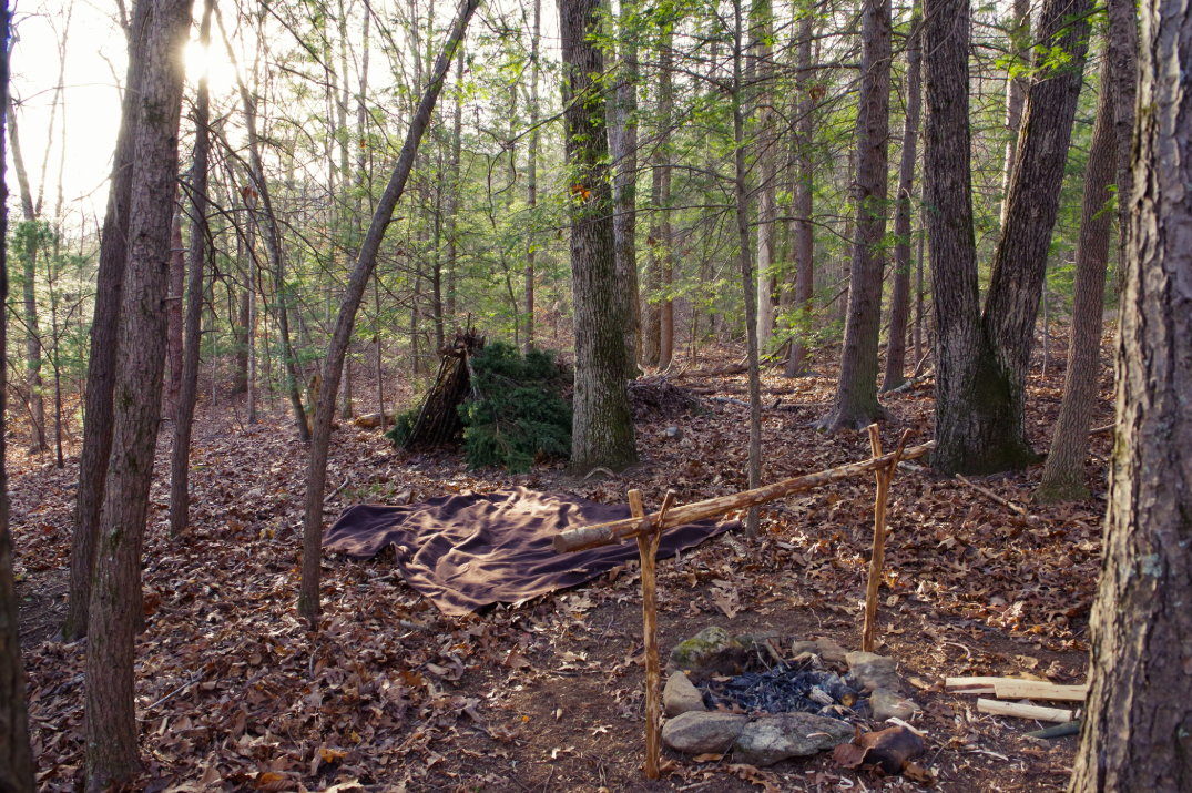 Journée Survie ou Plantes comestibles tarif -12 ans
