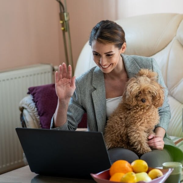 Leer je eigen hond trimmen - Workshop online