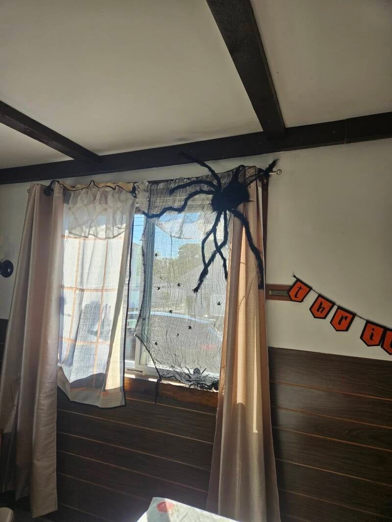 halloweensetup7-standard-ho31nn.jpg
