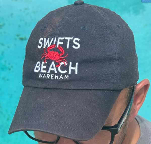 Swift Beach Ball Cap