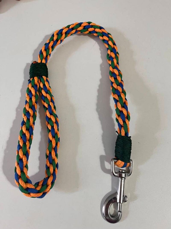 Longe Arlequin