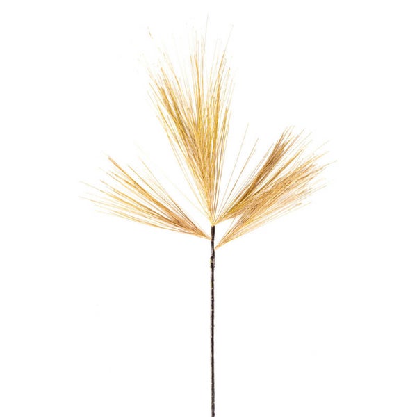 Home Society Sierra Frejus Goud