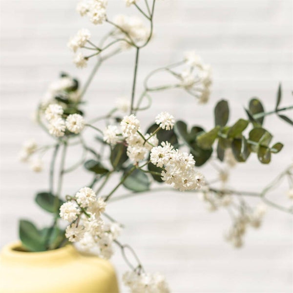 Zijdetak Gypsophila creme