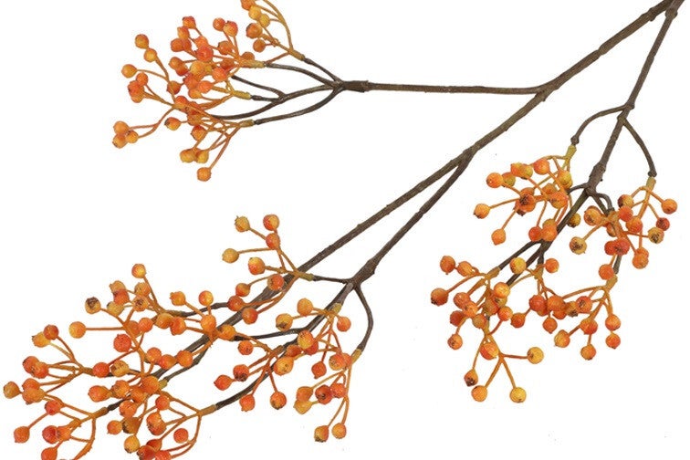 Zijdetak Ilex Oranje S