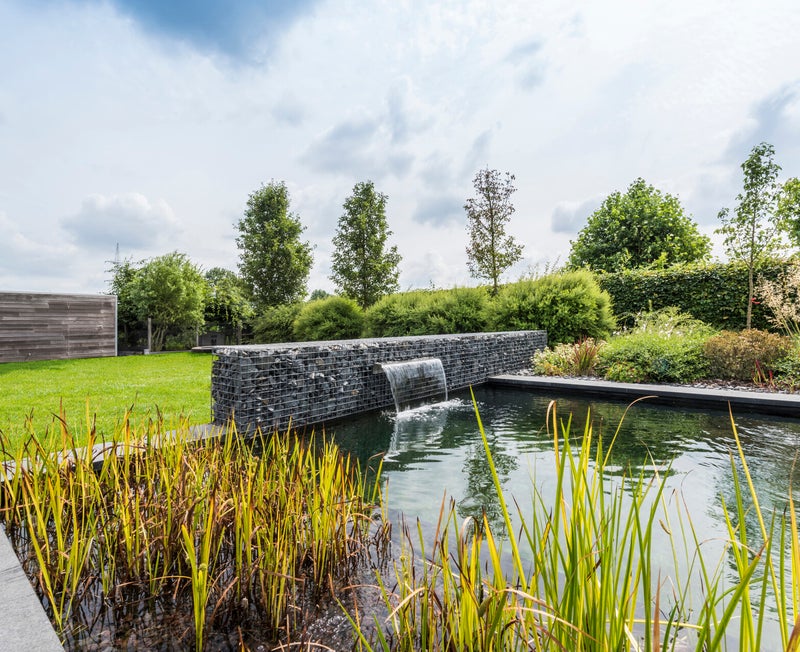 Zwemvijver met waterval