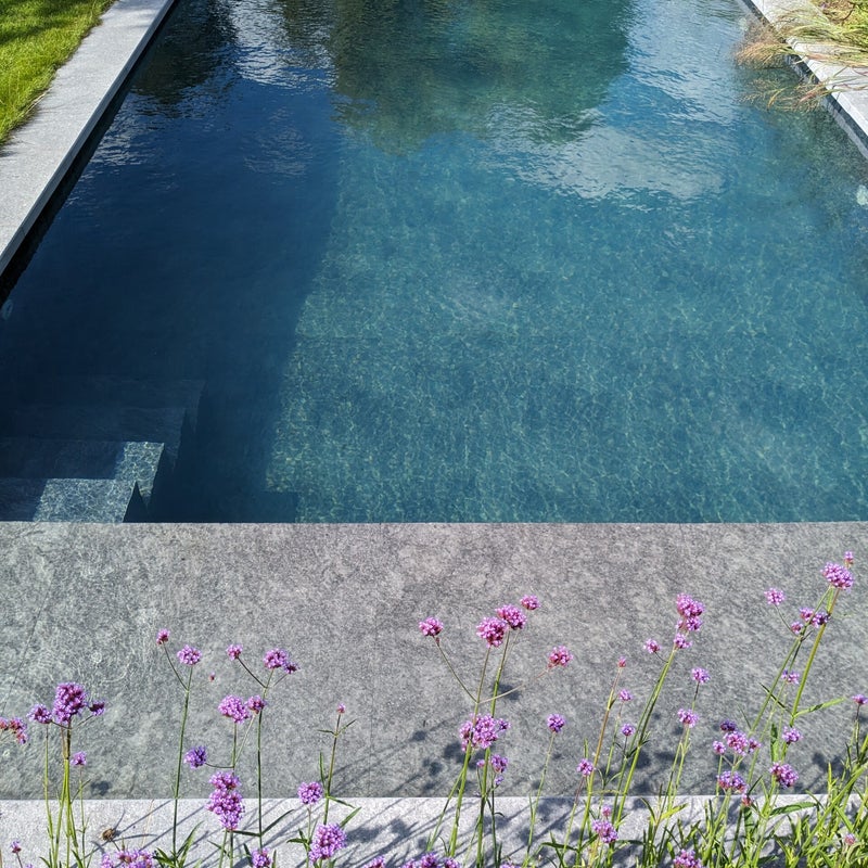 Biopool met plage en trap.