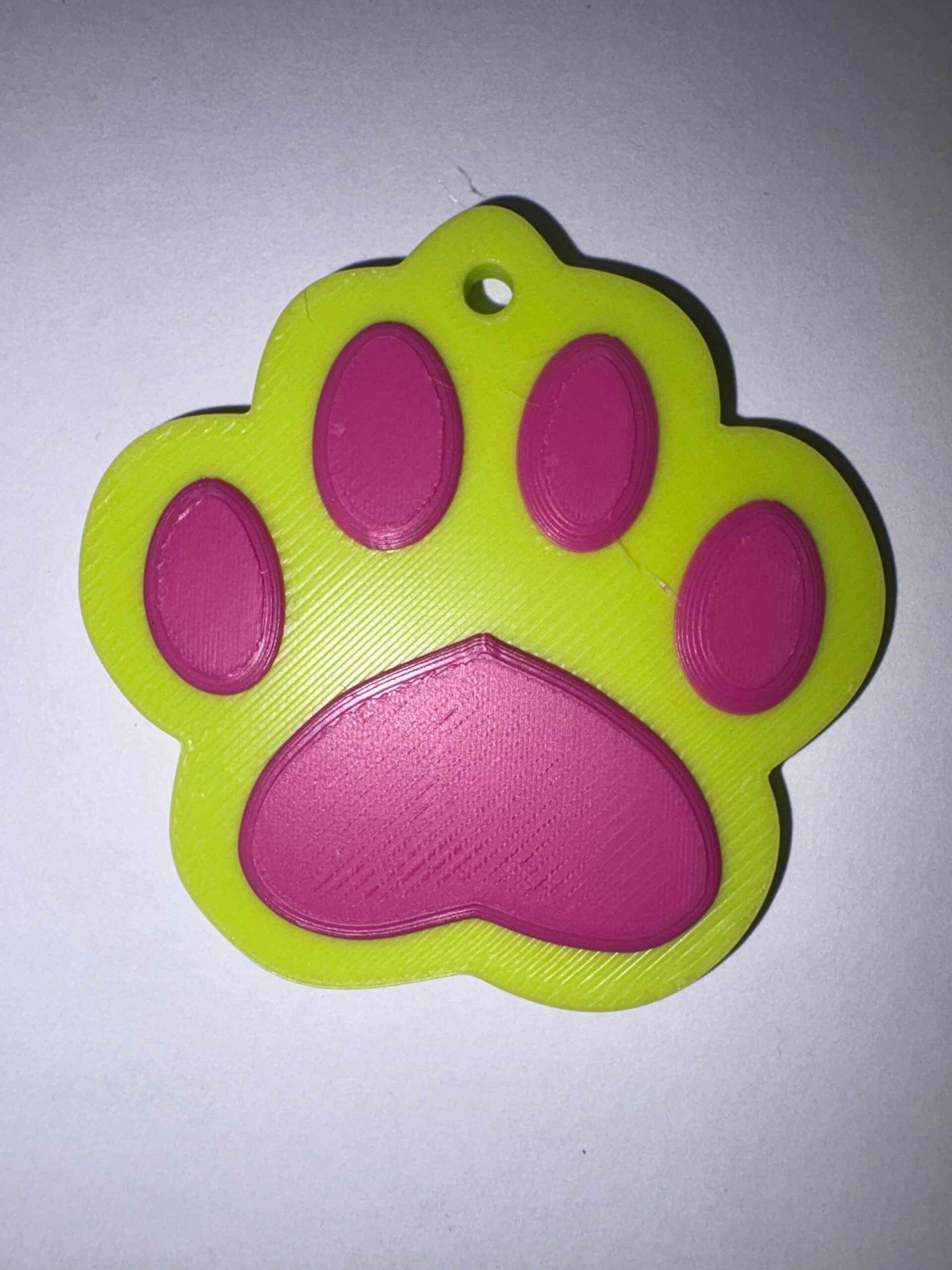 Patte de chien