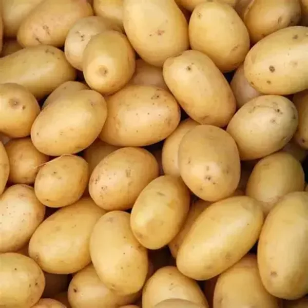 Aardappelen