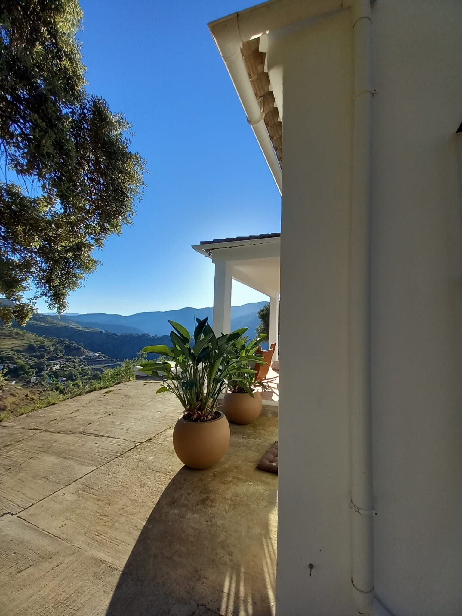 TERRA SEN VERANDA CASA MONDORO CASABERMEJA MÁLAGA, MET STRELITZIA REGINAE EN SCHOMMELSTOELEN UITZICHT OP MONTES DE MALAGA OM TE WANDELEN. NATUUR, RUST EN AUTHENTICITEIT IN DE CAMPO