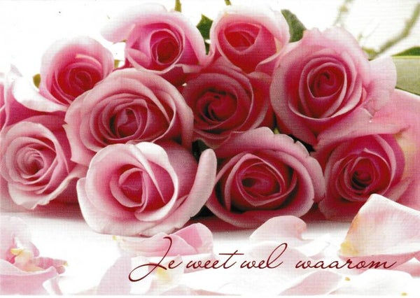 Wenskaart + Envelop - "Je Weet Zelf Wel Waarom"