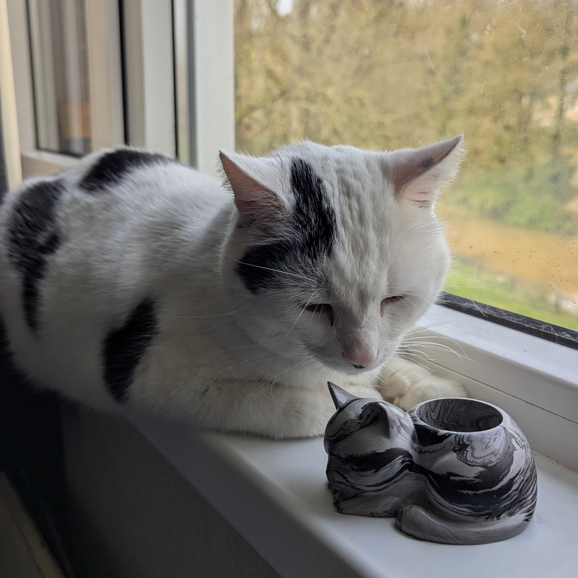 De Lichtbrengers Collectie