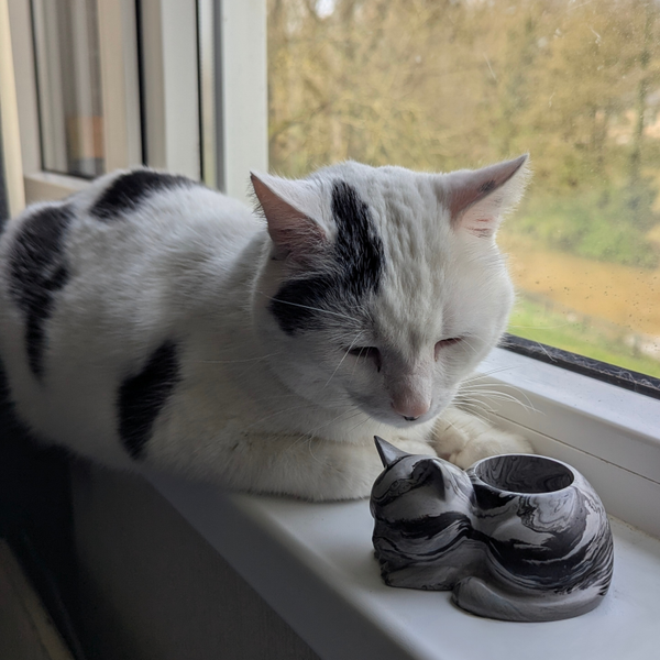De Lichtbrengers Collectie