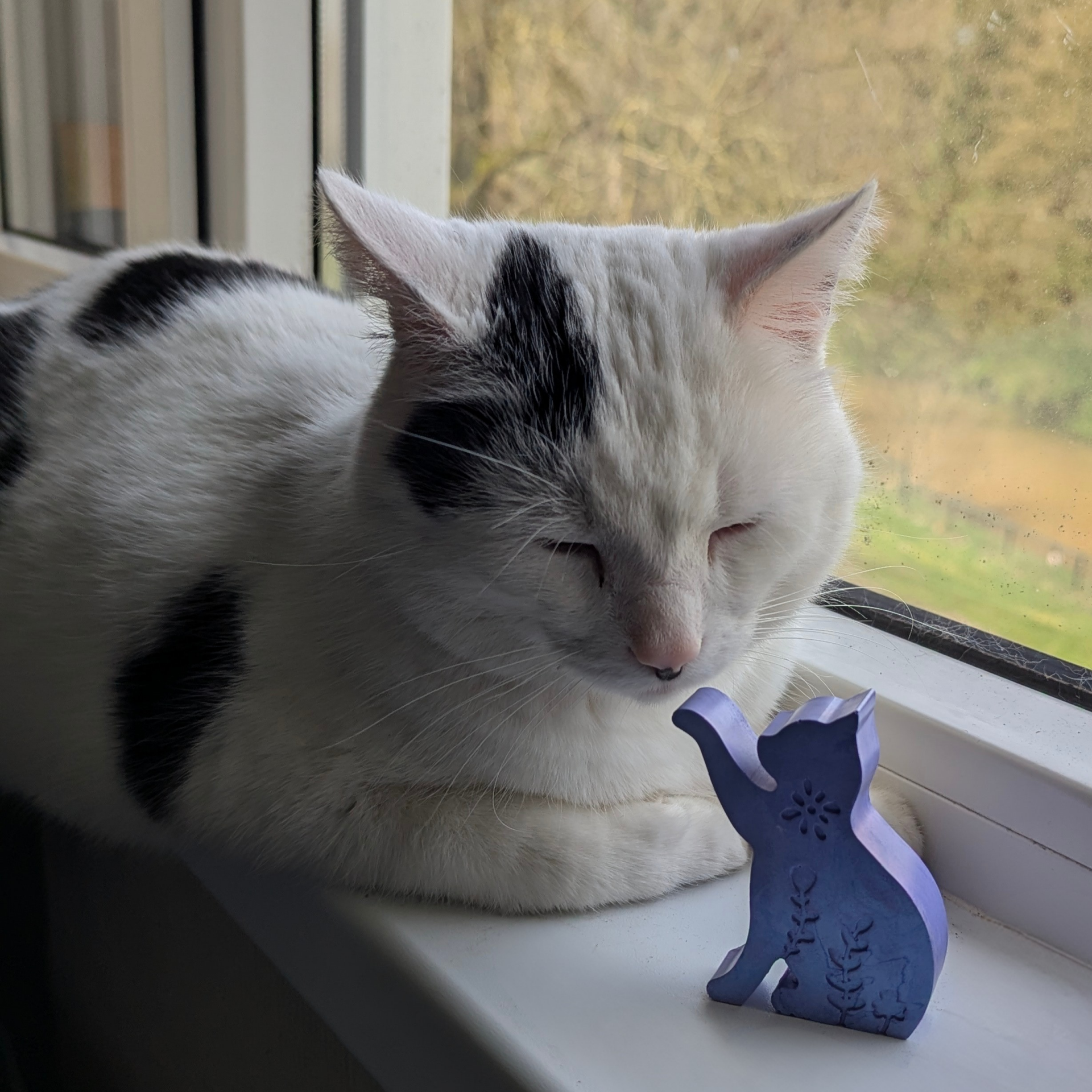 De Kitten Collectie