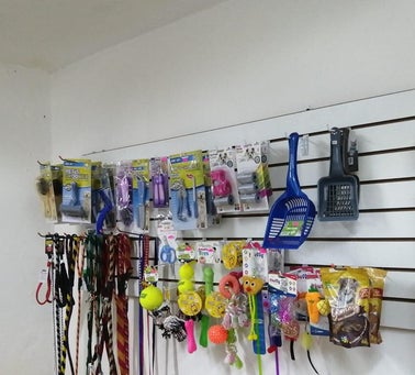 Articulos de entretenimiento