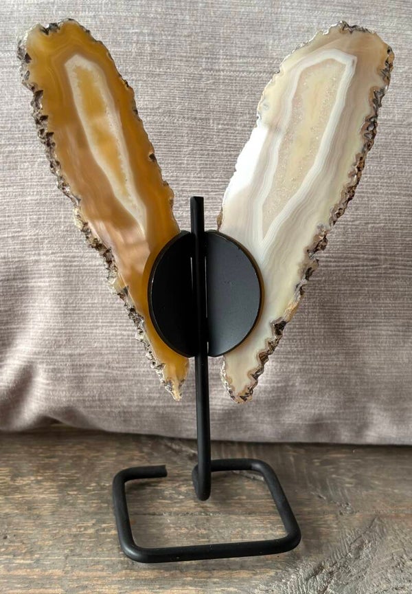 Vlinder standaard vs005