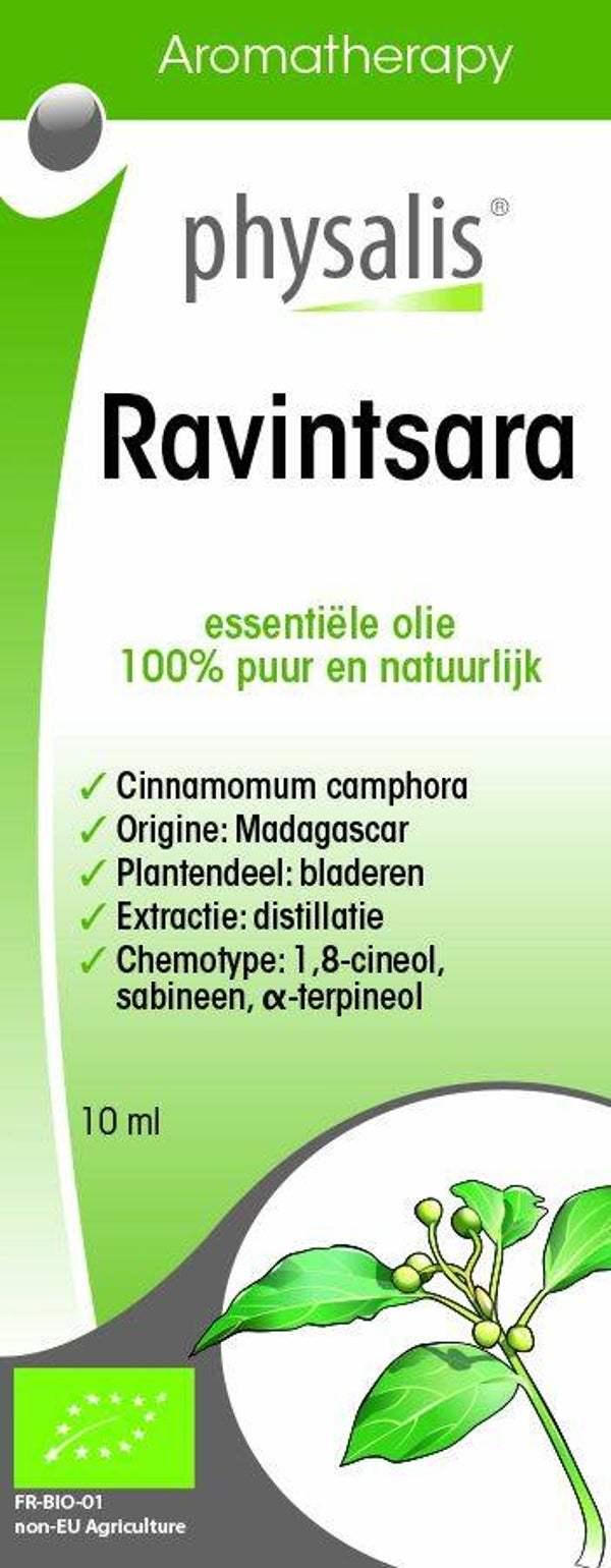 Physalis ravintsara bio 10ml