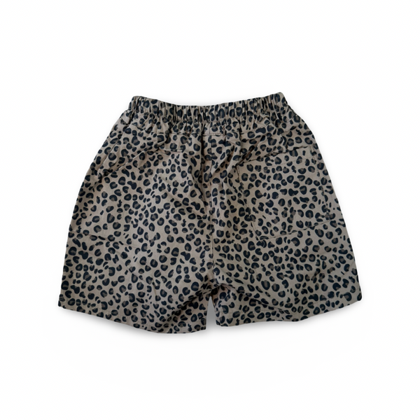 Little Roar short