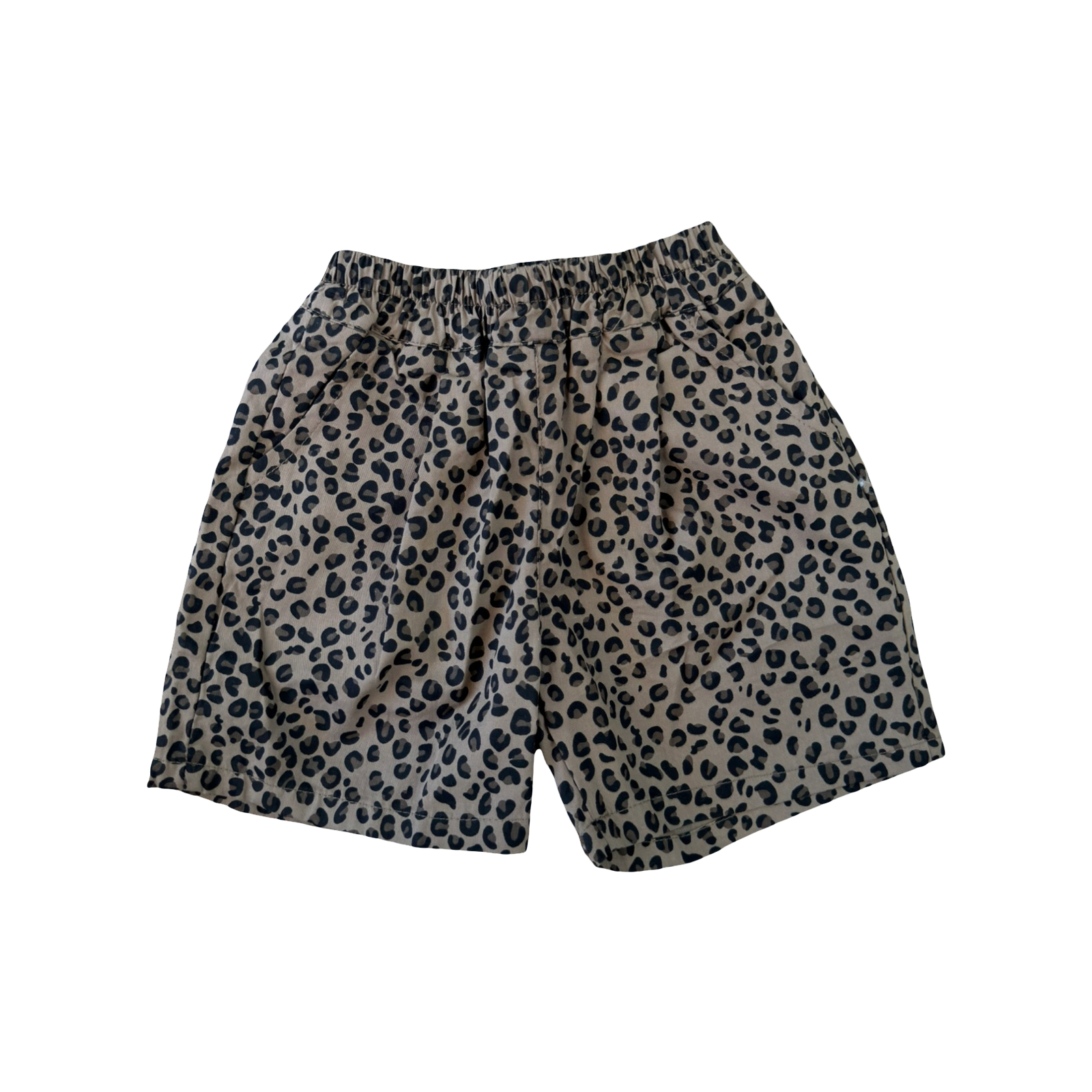 Little Roar short