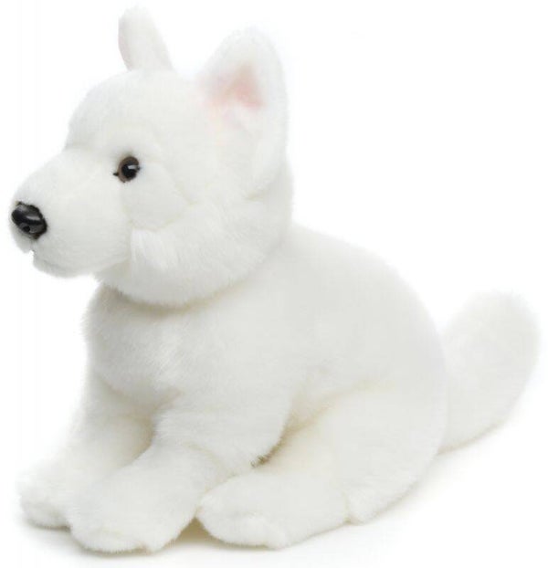 Weißer Schweizer Schäferhund Welpe - Ohne Leine - 26 cm (Höhe)