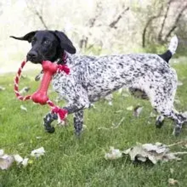 KONG Goodie Bone mit Seil