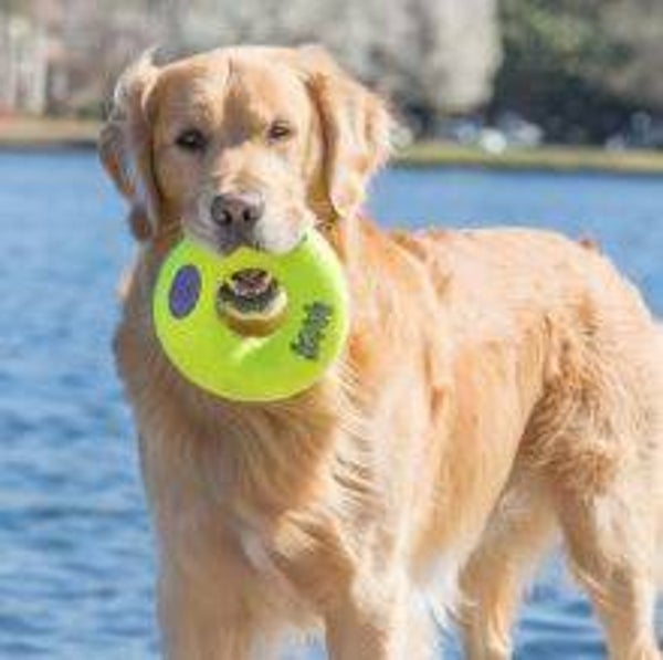 KONG Airdog Squeaker Donut