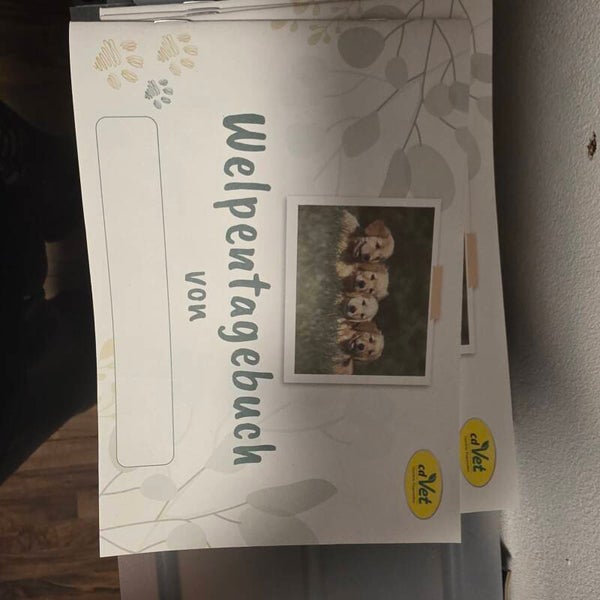 Welpen Tagebuch