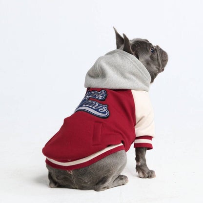 Hunde-Collegejacke