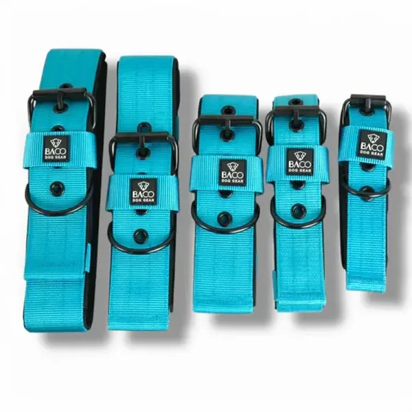 Hundehalsband BACO Rollschnalle Schwarz
