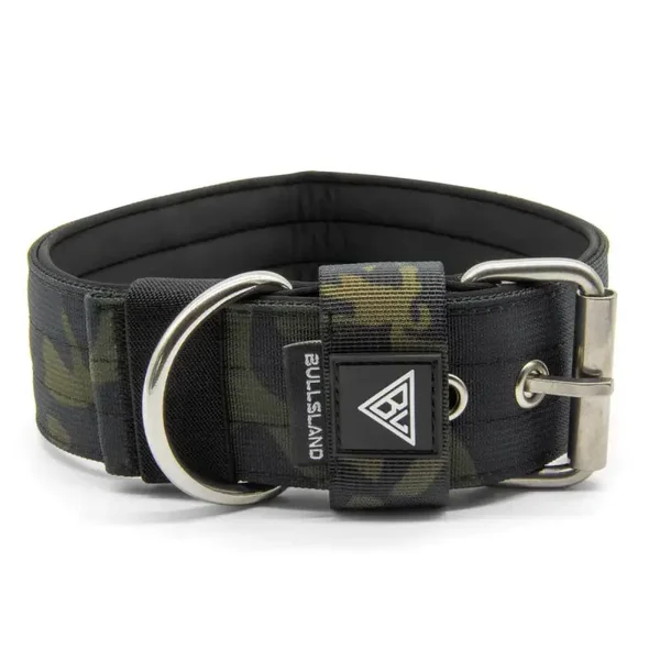 Breites Hundehalsband mit Neoprenpolsterung
