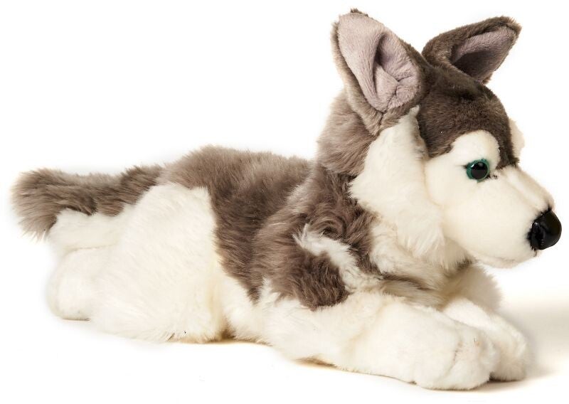 Husky