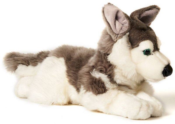 Husky