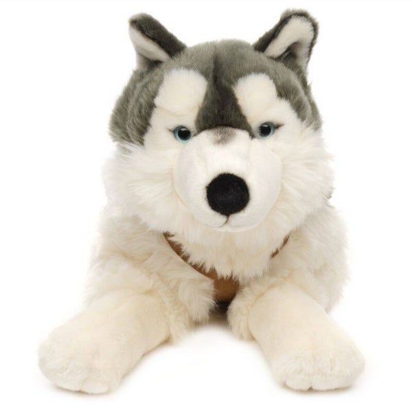 Husky mit Geschirr grau, liegend - 62 cm (Länge)