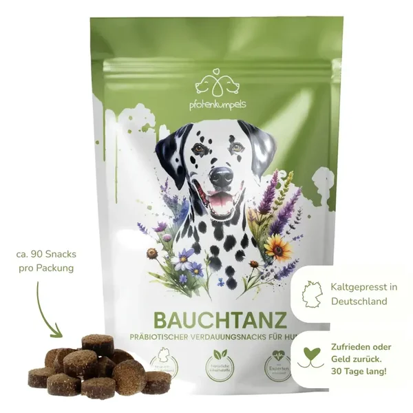 Bauchtanz