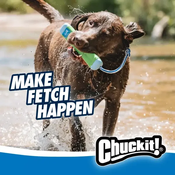 Chuckit! Amphibious Bumper