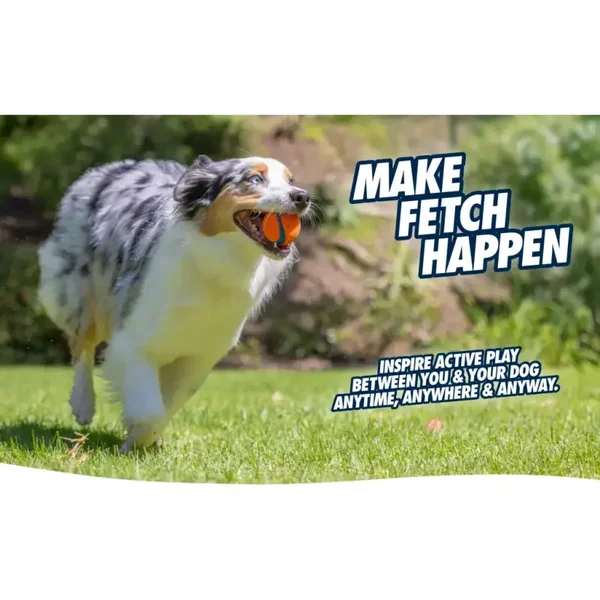 Chuckit! Fetch Ball Verschiedene Grössen