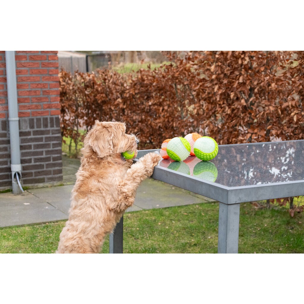 Dog Comets Glow In The Dark Moon Ball L Grün