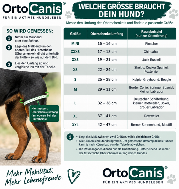 Kniebandage für hunde