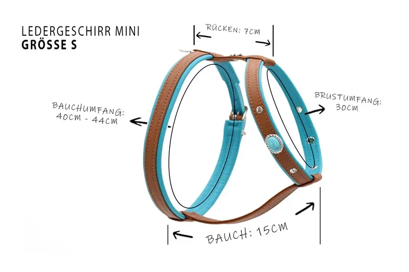 Ledergeschirr Mini