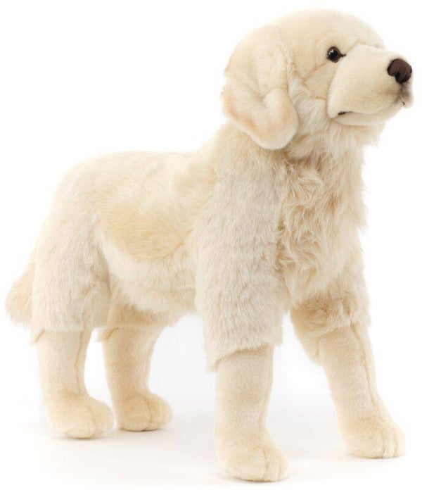 Golden Retriever "Joy", stehend - 50 cm (Höhe)