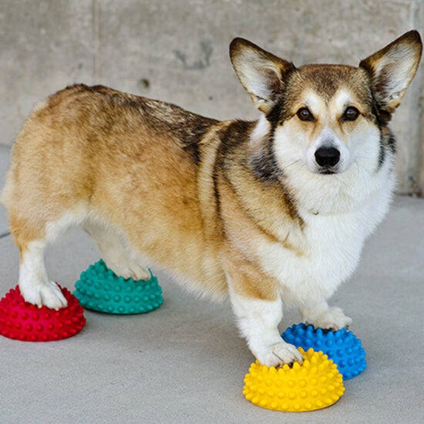 FitPAWS - Paw Pods (4er Pack)