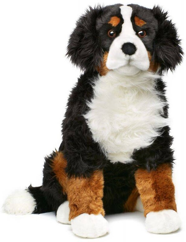 Berner Sennenhund "Ben", sitzend, sehr groß - 57 cm (Höhe)
