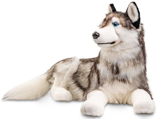 Husky grau-braun, liegend - 100 cm (Länge)