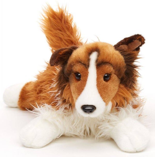 Langhaarcollie, liegend - 41 cm (Länge)