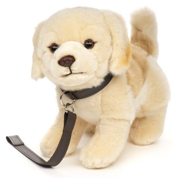 Golden Retriever Welpe mit Leine, stehend - 22 cm (Höhe)