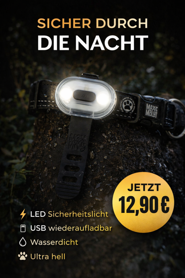 LED Sicherheitslicht