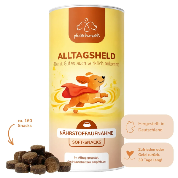 Alltagsheld   -   Snack