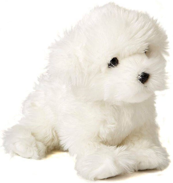Malteser Hund, sitzend  - 23 cm (Höhe)