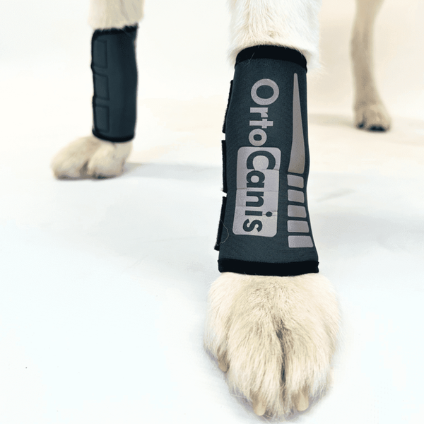 Karpalbandage für hunde