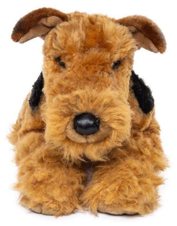 Airedale Terrier, liegend | 43 cm (Länge)